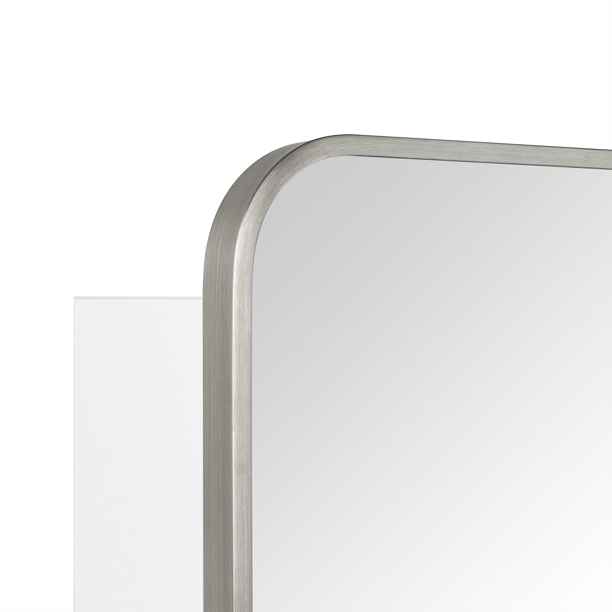 Garnes Rectangular Recessed or Surface Mount Metal Framed Medicine Cabinet with Mirror
