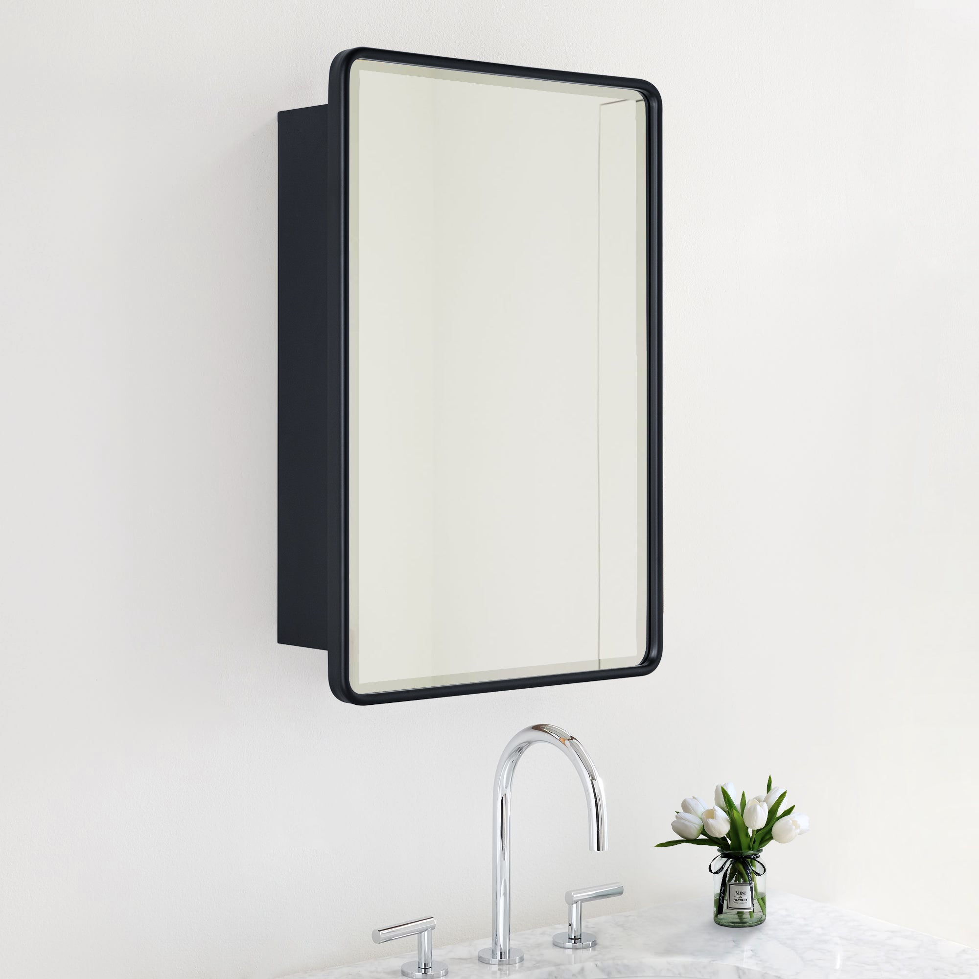 Eldee Surface Mount Rectangular Metal Framed Bathroom Medicine Cabinet with Mirror