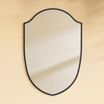 Faus Modern Irregular Wall Mirrors GC-XY007 Black 20x30" TEHOME