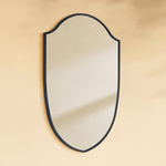 Faus Modern Irregular Wall Mirrors GC-XY007 Black 20x30" TEHOME