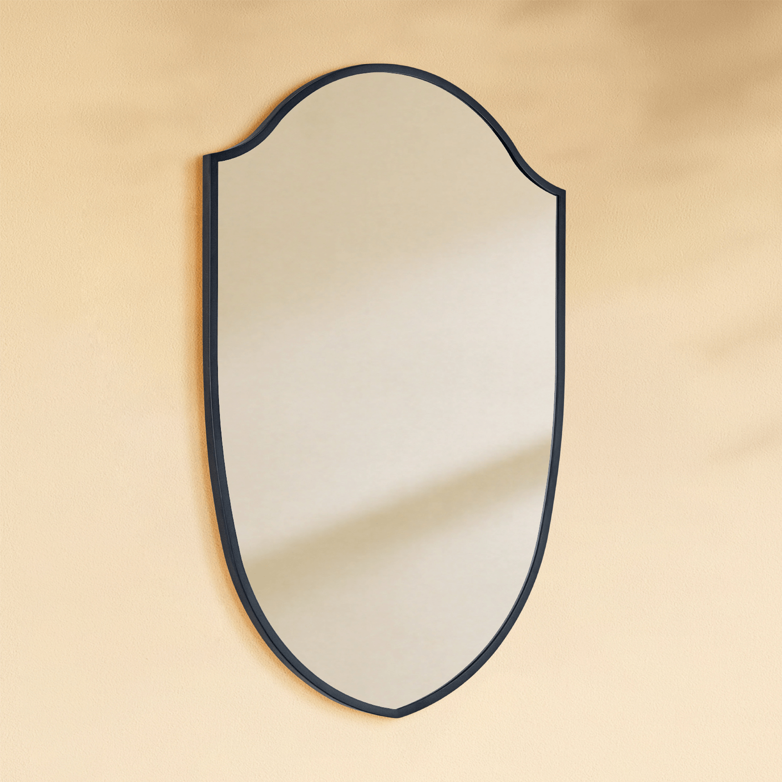 Faus Modern Irregular Wall Mirrors GC-XY007 Black 20x30" TEHOME