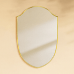 Faus Modern Irregular Wall Mirrors GC-XY012 Brushed Gold 20x30" TEHOME