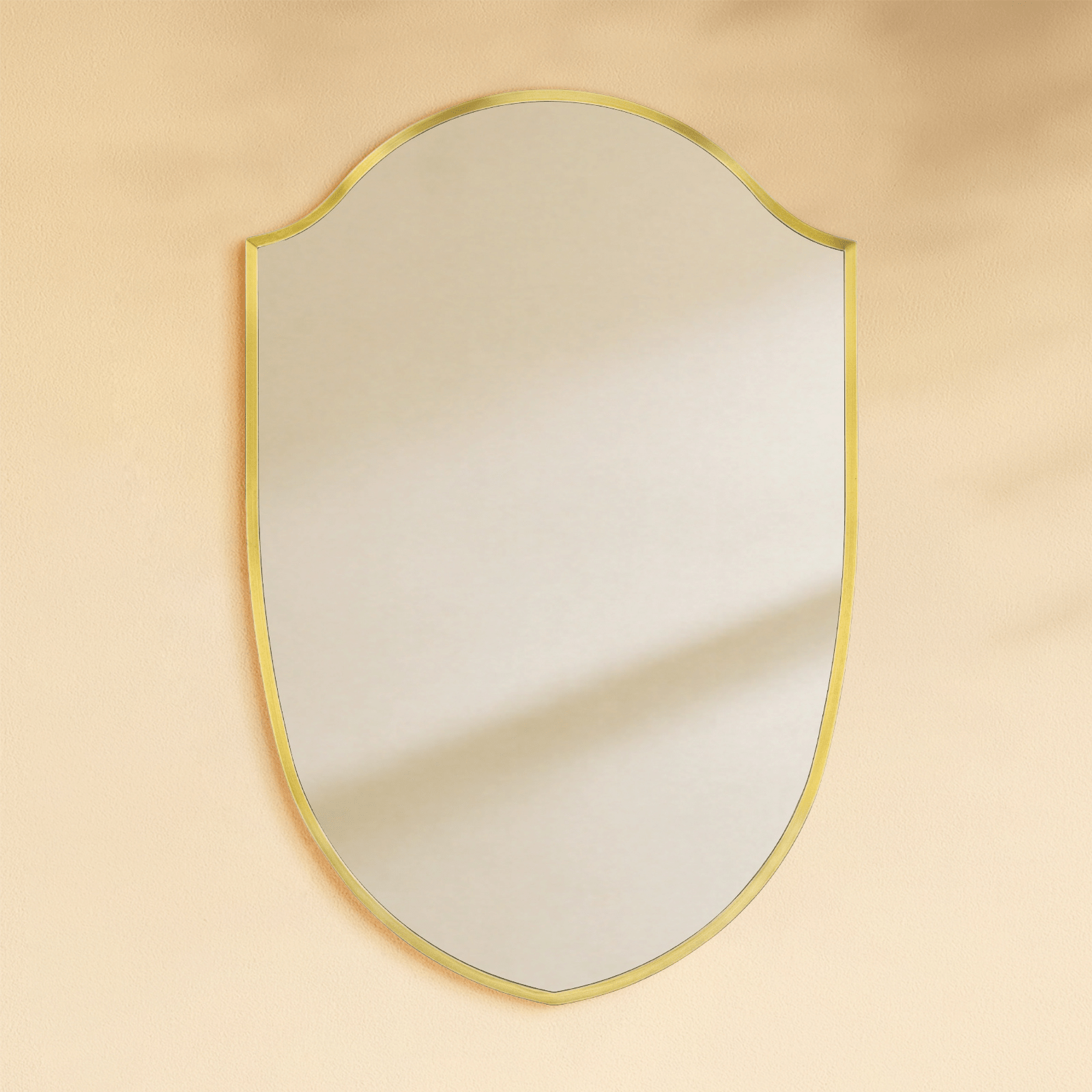 Faus Modern Irregular Wall Mirrors GC-XY012 Brushed Gold 20x30" TEHOME