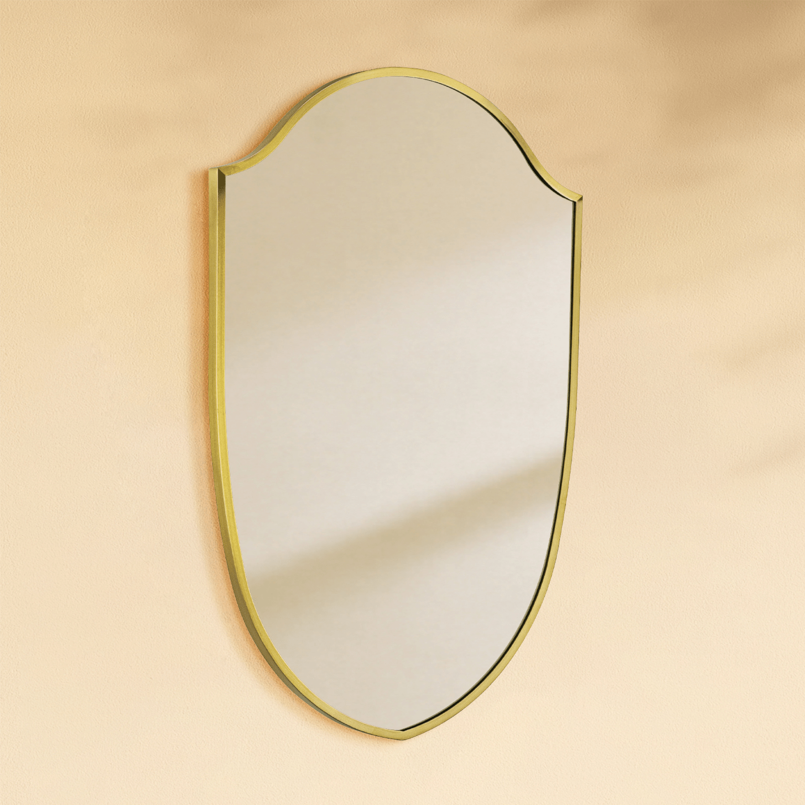 Faus Modern Irregular Wall Mirrors GC-XY007 Black 20x30" TEHOME