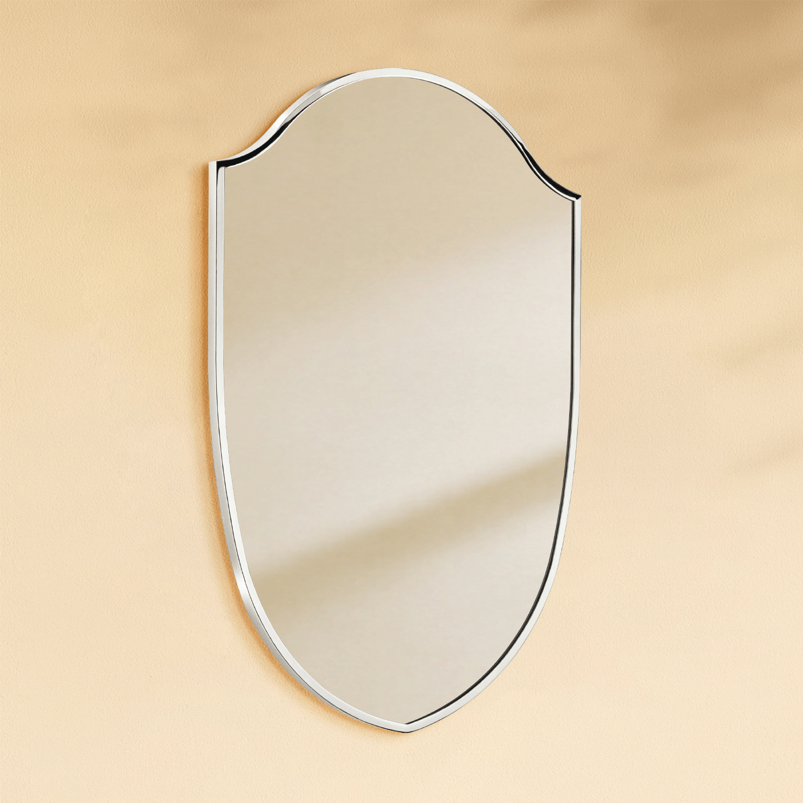 Faus Modern Irregular Wall Mirrors GC-XY007 Black 20x30" TEHOME