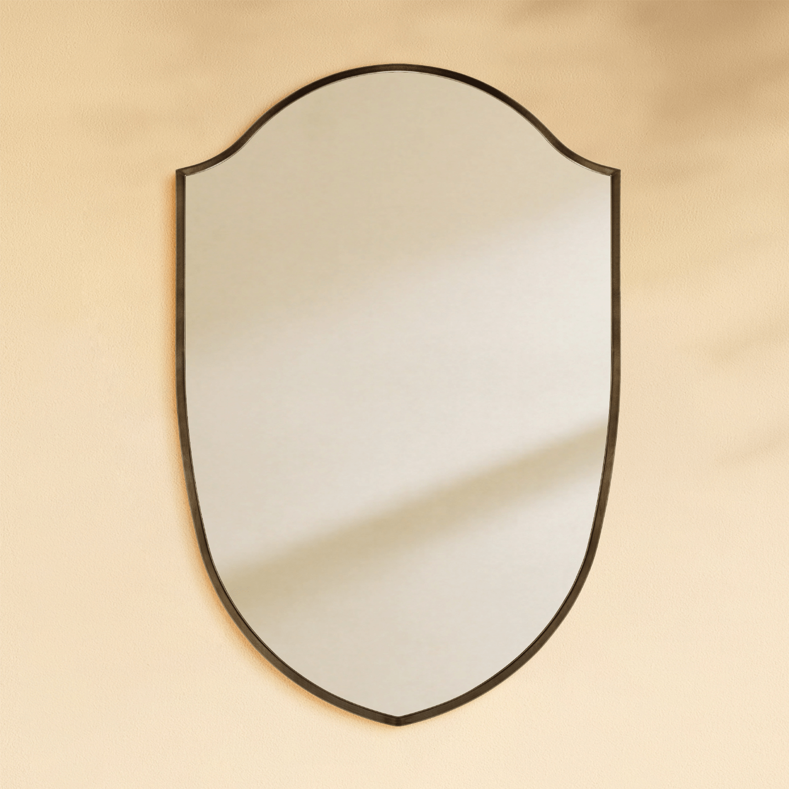 Faus Modern Irregular Wall Mirrors GC-XY011 Oil Rubbed Bronze 20x30" TEHOME