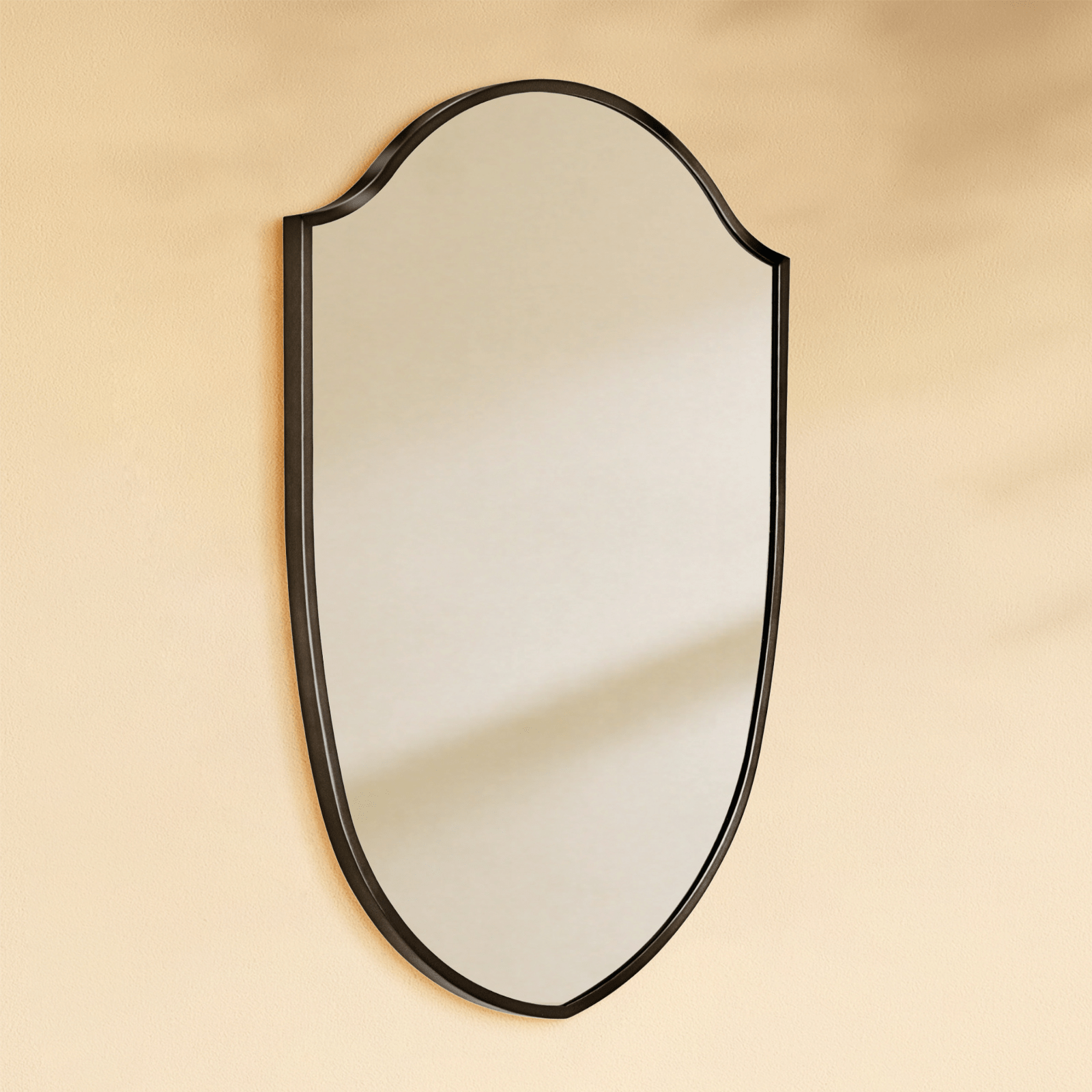 Faus Modern Irregular Wall Mirrors GC-XY007 Black 20x30" TEHOME