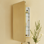 Garnes Modern Rectangle Recessed and Surface Mount Bathroom Medicine Cabinet with Mirrors GC-TC0001 Black 16.5x24" TEHOME