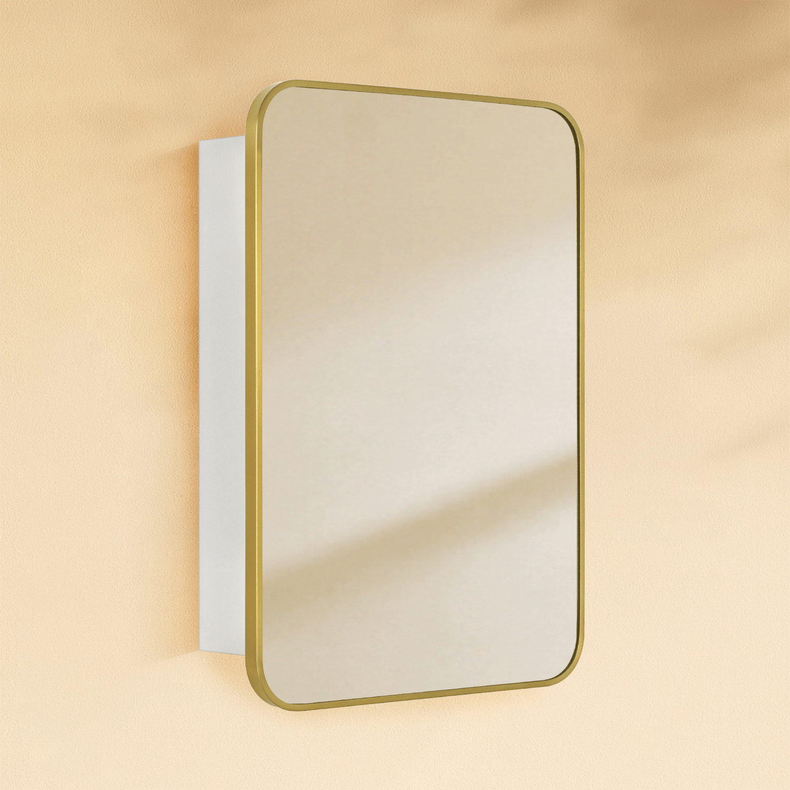 Garnes Modern Rectangle Recessed and Surface Mount Bathroom Medicine Cabinet with Mirrors GC-TC0001 Black 16.5x24" TEHOME