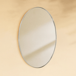 Javell Modern Oval Wall Mirrors GC-0Y003 Brushed Nickel 20x30" TEHOME