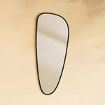 Trequan Modern Irregular Wall Mirrors GC-XY002 Black 50x22.5" TEHOME